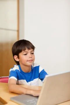 Boy playing computer games on the laptop Stock-Fotos