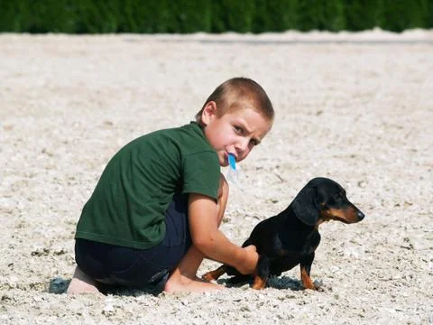 Boy playing with dog Stock Photos
