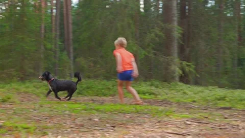 Boy playing with dog in summer forest in slow motion Video stock 318173258