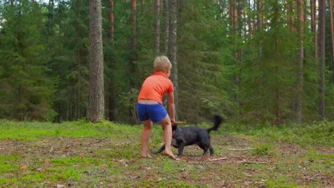 Boy playing with dog in summer forest in slow motion Stock Footage 318173341
