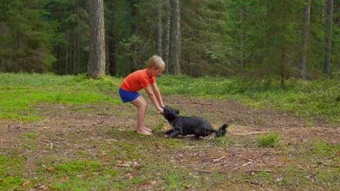 Boy playing with dog in summer forest in slow motion Stock Footage 318173369