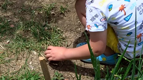 Boy playing with earth in the garden, boy playing with earth, Video stock 156519337