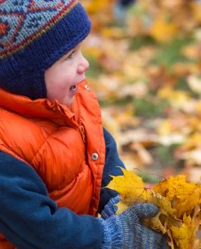 Boy playing in fall leaves Stock Photos