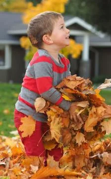 Boy playing with fall leaves Stock Photos