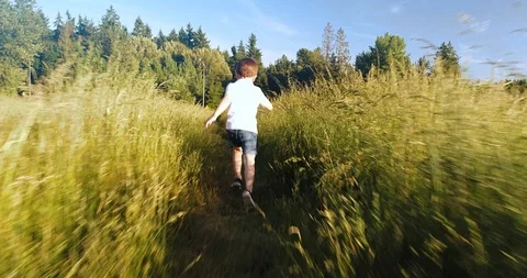 Boy playing in the field Stock Footage 110274467