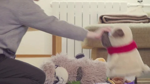 A boy playing on the floor Stock Footage 76384107