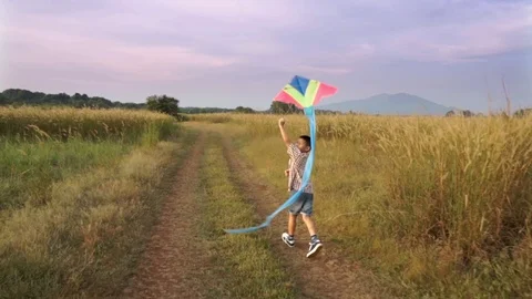 Boy playing with flying kite in evening. Stockbeeldmateriaal 119883908