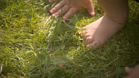 BOY playing on GRASS Stock Footage 89782280