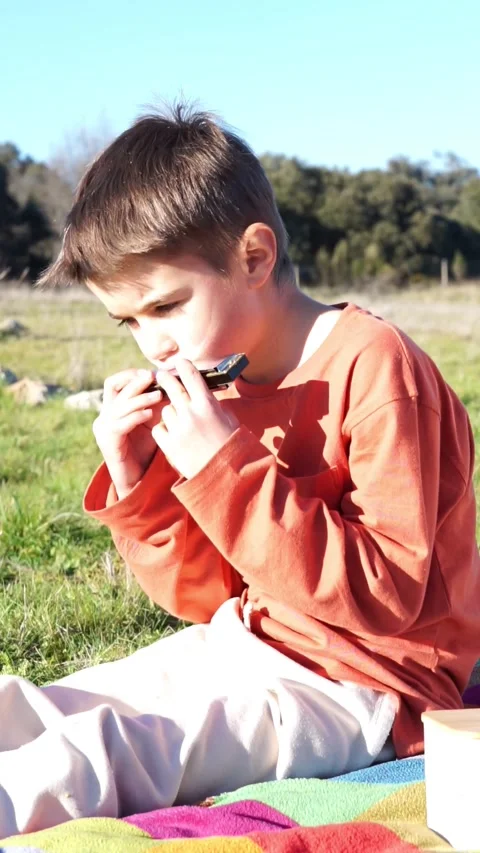 Boy playing harmonica in nature Stock Footage 276528165