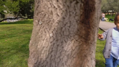 Boy playing hide-and-seek, smiling, running away from tree Stock Footage 104746049