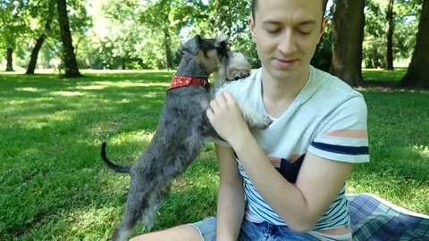 Boy playing with his cute dog and feeding him in the park, steadycam shot Stock Footage
