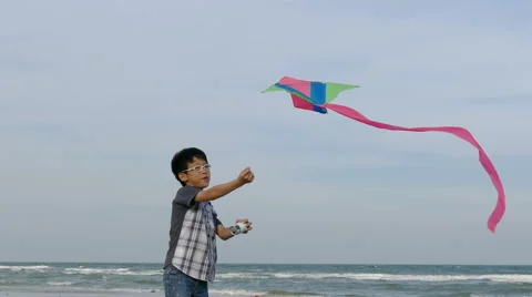Boy playing kite on the beach Stock Footage 60632764