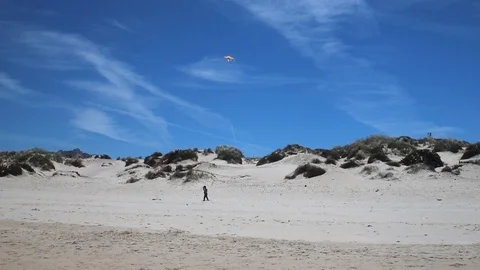 Boy playing with kite on the beach Video stock 114612574