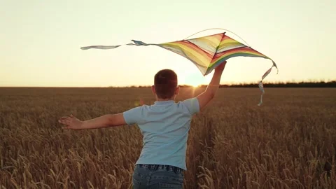 Boy playing kite gliding in sky. Boy child flying kite on wheat field, sunset Stock Footage 307065792