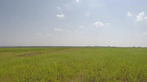 A boy playing with a kite in the meadow. Stock Footage 53241260