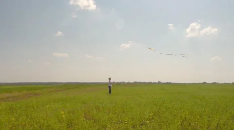 A boy playing with a kite in the meadow. 库存影片 53241266