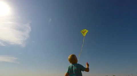 A boy playing with a kite in the meadow. 库存影片 53527231