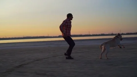 Boy playing with labrador dog at seashore sunset rapid slow motion Video stock 79773660