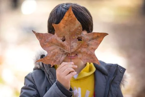 Boy playing with a leaf Stock Photos