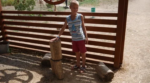 Boy Playing With Logs on the Farm Stock Footage 66905898