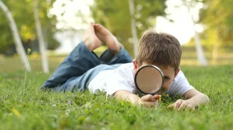 Boy playing with magnifier Stock Footage
