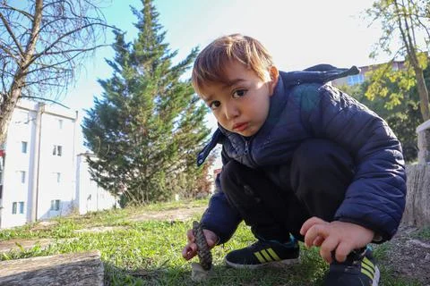 Boy Playing in The Park Stock Photos