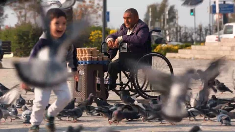 Boy playing with pigeons Stock Footage 104090770