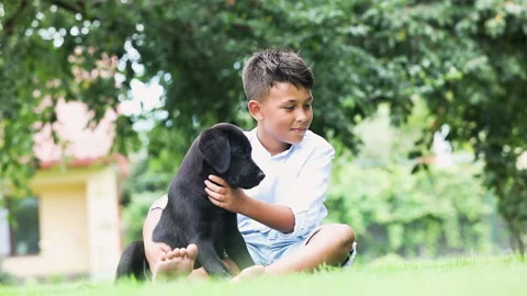 The boy is playing with puppy in the park Stock Footage 139210596