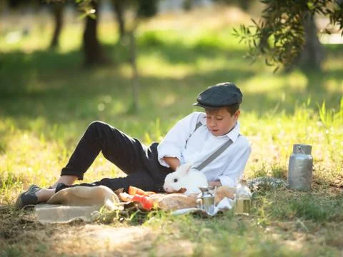 Boy playing with a rabbit in the park on a picnic Stock Photos