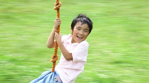 A Boy Playing on a Rope Swing Stock Footage 332019709