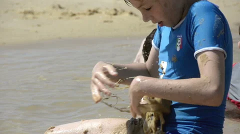 Boy playing with sand on the beach Stock Footage 50554487