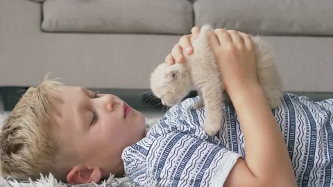 Boy playing with Scottish Fold kitten on floor. Pet therapy. Spending time with  Stock Footage 157808082