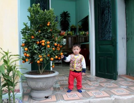 Boy playing side the tangerine tree Stock Photos