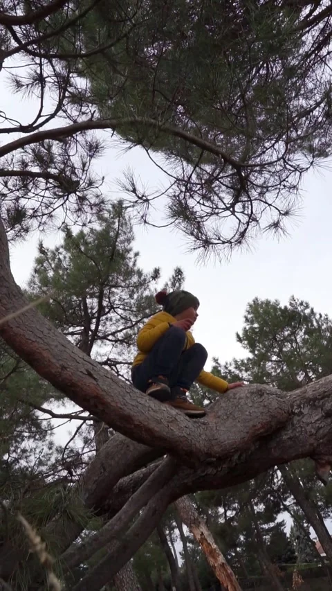 Boy playing sitting on top of a tree trunk Stock Footage 261580374