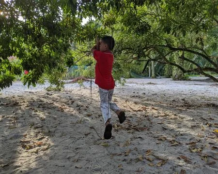 A boy is playing soccer under a tree in their yard while doing the famous soccer Stock Photos