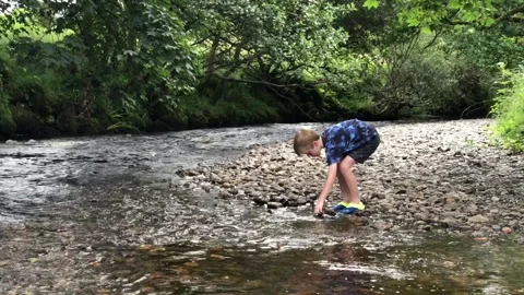 Boy playing in stream Stock Footage 112981493
