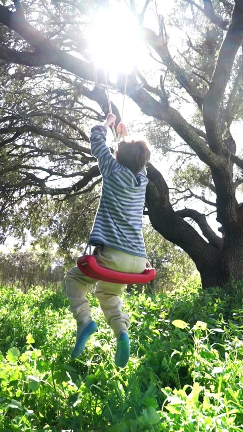 Boy playing on a swing hanging from a tree in nature Stock Footage 273786262