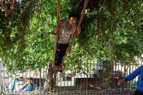 Boy Playing Swing Stockfoto's