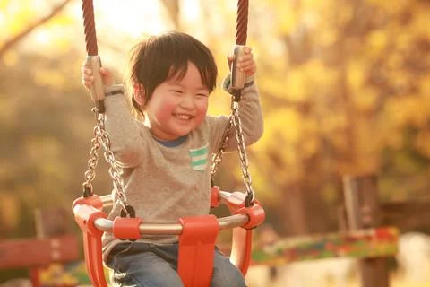 Boy playing on a swing Stock Photos