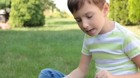 The boy is playing on the tablet on the grass Stock Footage 80462515