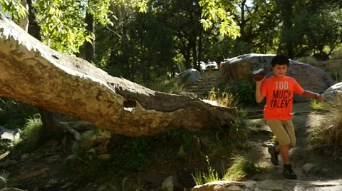 A boy playing throws a rock into a creek Stock Footage 62897127