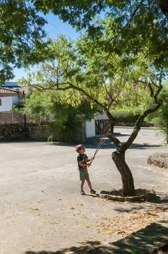Boy Playing with Tree Branches in Sunny Park Stock Photos