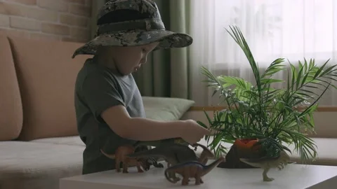 A boy plays with dinosaur figurines on the table. The little explorer in the  Stock Footage 147672718