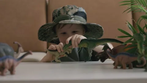 A boy plays with dinosaur figurines on the table. The little explorer in the  Stock Footage 147672845