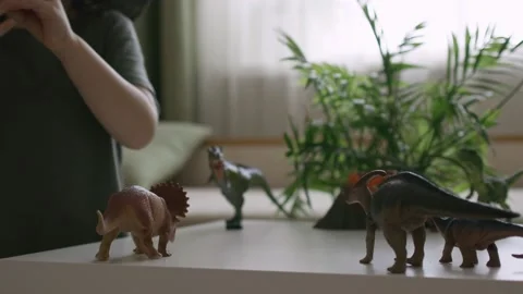 A boy plays with dinosaur figurines on the table. The little explorer in the  Stock Footage 147673080