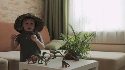A boy plays with dinosaur figurines on the table. The little explorer in the  Stock Footage 147673138