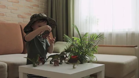 A boy plays with dinosaur figurines on the table. The little explorer in the  Stock Footage 147673441