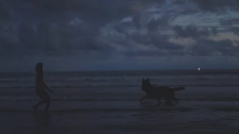 Boy plays with dog on beach Stock-Footage 109423902
