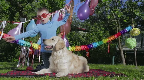 Boy plays with dog 動画素材 49431073