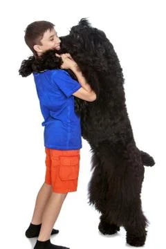 Boy plays with a dog Stock Photos